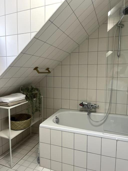 Apartment Ueber Den Daechern Der Landshuter Altstadt Landshut